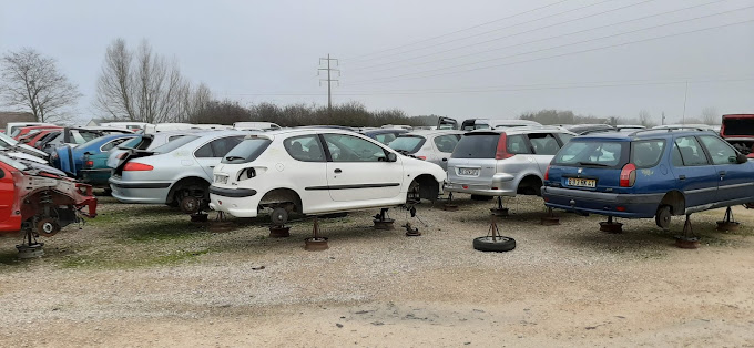 Aperçu des activités de la casse automobile CASS'AUTO MEUNIER C située à BILLY (41130)